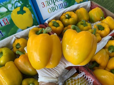 พริกยักษ์เหลือง