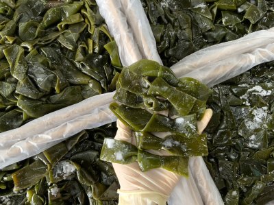 สาหร่ายสด