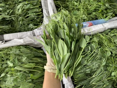 โต้วเหมี่ยว