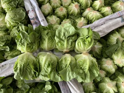 บัตเตอร์เฮด