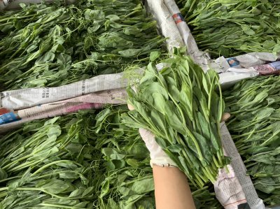 โต้วเหมี่ยว