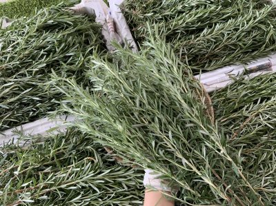 โรสเมรี