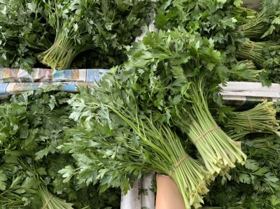 อิตาเลี่ยนพาสเลย์