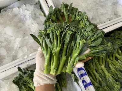 Broccolini / Baby Broccoli