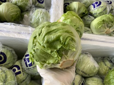 สลัดแก้ว