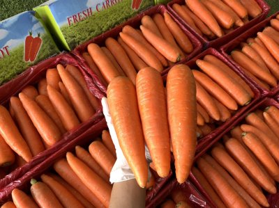 แครอท (กล่องฟ้าเขียว)