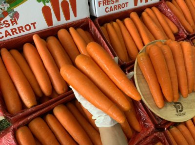 แครอท (กระต่ายเขียว)