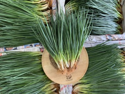 ต้นหอม(เล็ก)