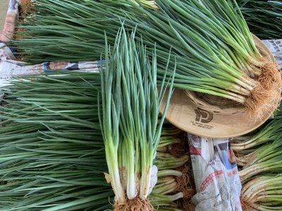 ต้นหอม(เล็ก)