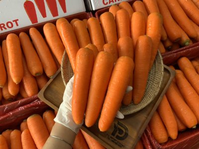 แครอท (กระต่ายแดง)