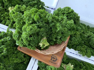 พาร์สเล่ย์