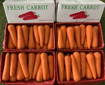 แครอท (กล่องขาว)