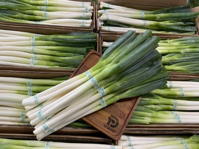 ต้นหอมญี่ปุ่น