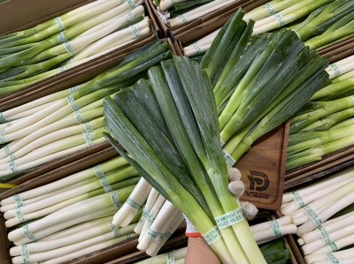 ต้นหอมญี่ปุ่น