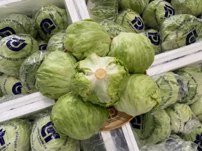 สลัดแก้ว