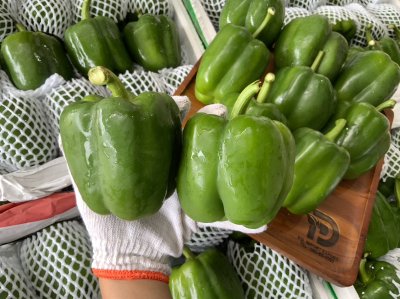 พริกยักษ์เขียว