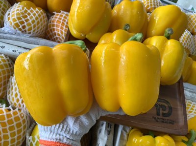 พริกยักษ์เหลือง