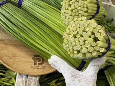 ดอกกระเทียม