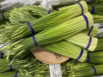 ดอกกระเทียม