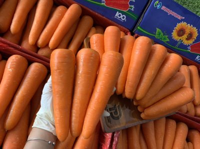 แครอท (ทานตะวันฟ้า)