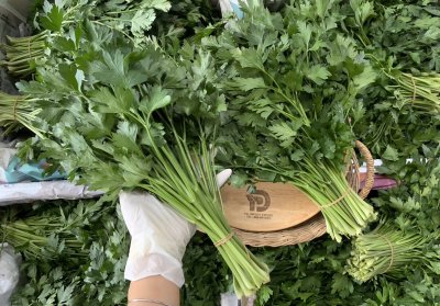 อิตาเลี่ยนพาสเลย์