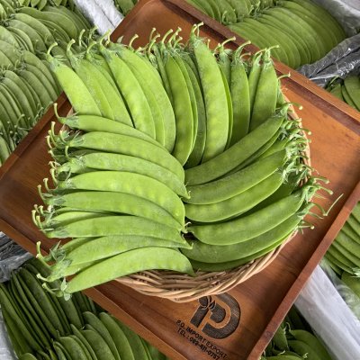 ถั่วลันเตา