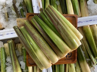 หน่อไม้น้ำ