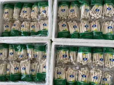 White Beech Mushroom