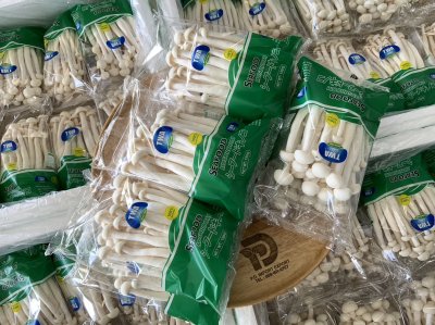 White Beech Mushroom