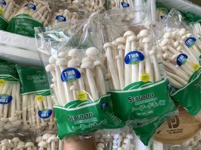 White Beech Mushroom