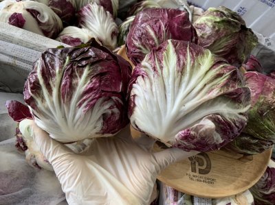 ชิโอ่ / แรดิชิโอ