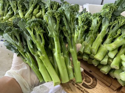 Broccolini / Baby Broccoli