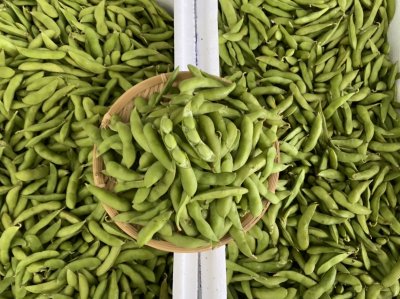 ถั่วแระญี่ปุ่น