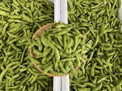 ถั่วแระญี่ปุ่น