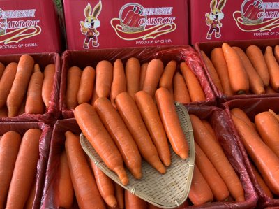 แครอท (กล่องแดงกระต่าย)