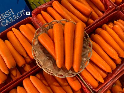 แครอท (PD-316)