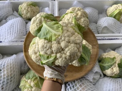 Cauliflower