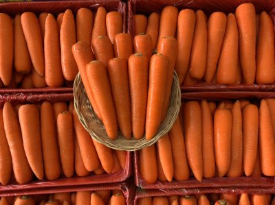 แครอท (PD-316)