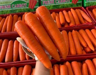 แครอท (กล่องเขียว)