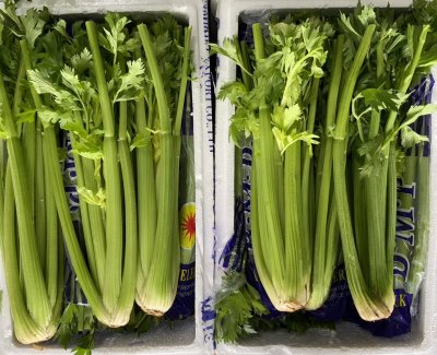 Celery