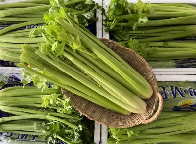 Celery
