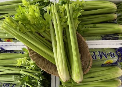 Celery