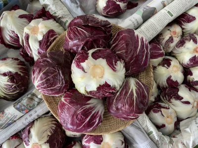 ชิโอ่ / แรดิชิโอ