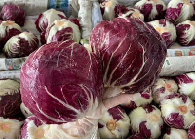 ชิโอ่ / แรดิชิโอ