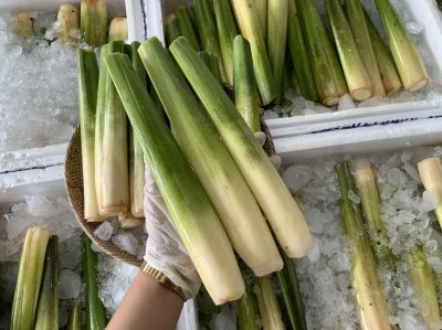 หน่อไม้น้ำ