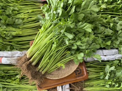 Leaf Celery