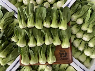 ฮ่องเต้น้อย