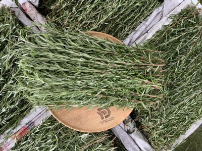 โรสเมรี