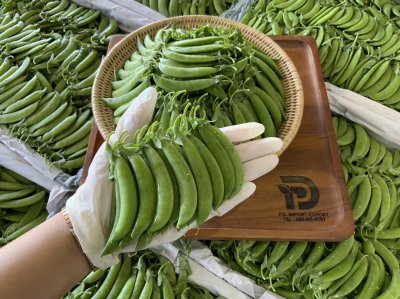 ถั่วลันเตาหวาน