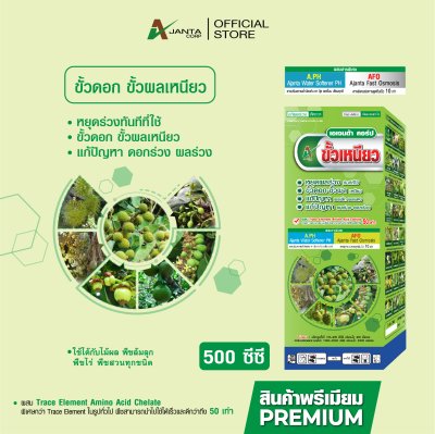 ขั้วเหนียว